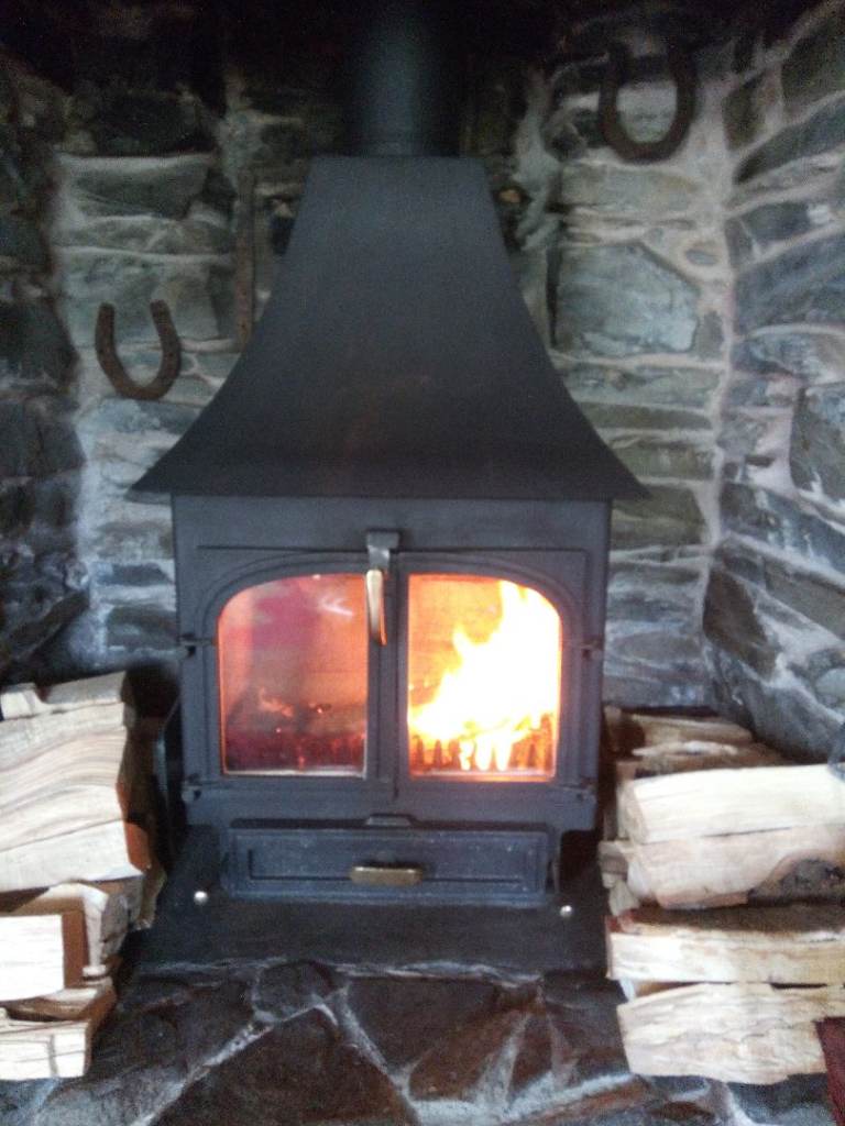 Clearview 650 multifuel stove plus complete set of firebricks