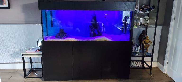 5 foot aquarium Cabinet and Filters