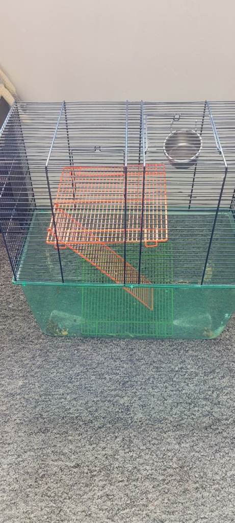 Hamster cage 