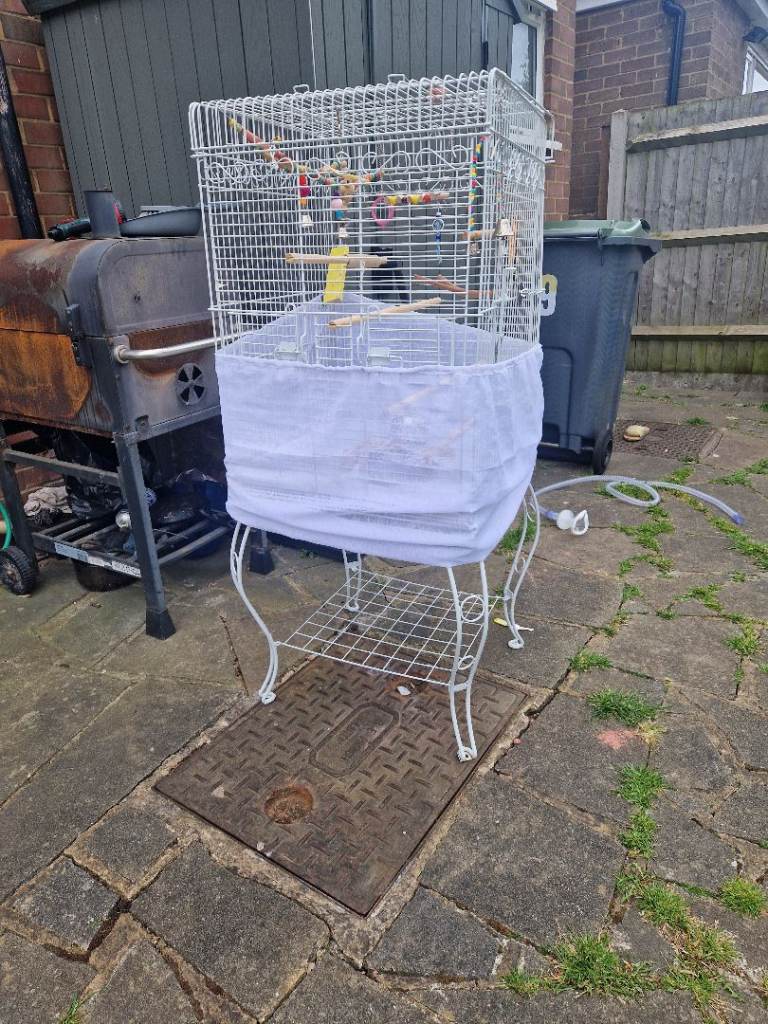Bird cage 