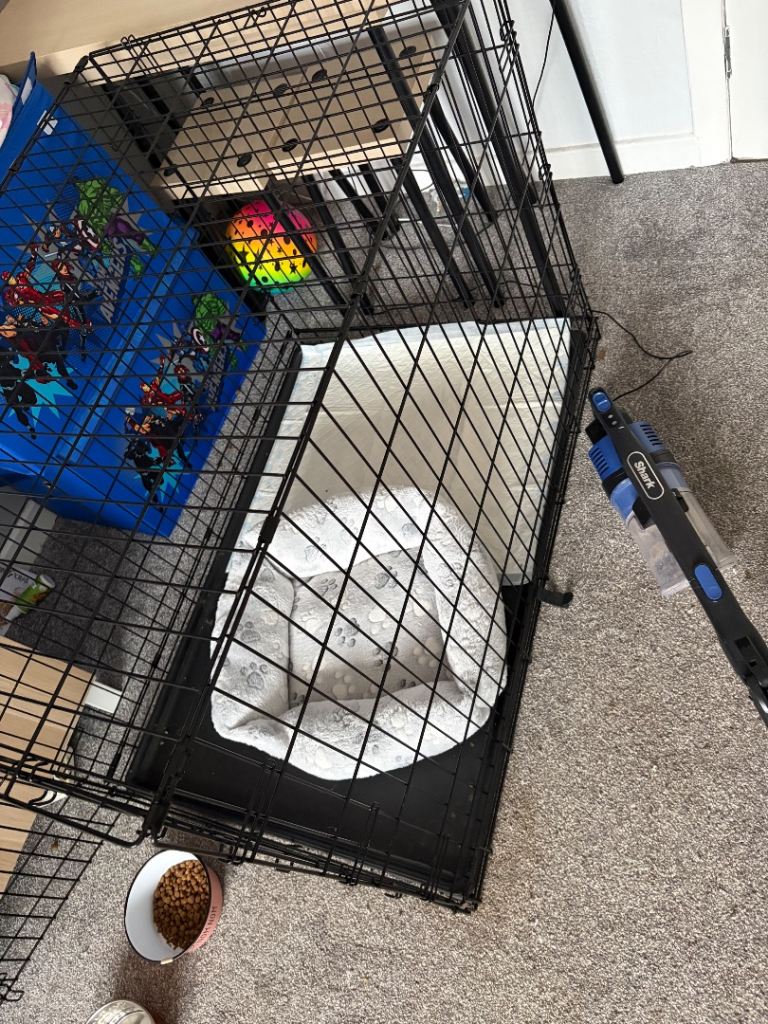 XL Dog crate - Like new 