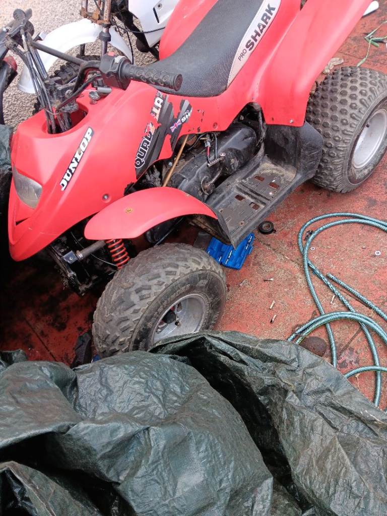 Quadzilla proshark 100 cc