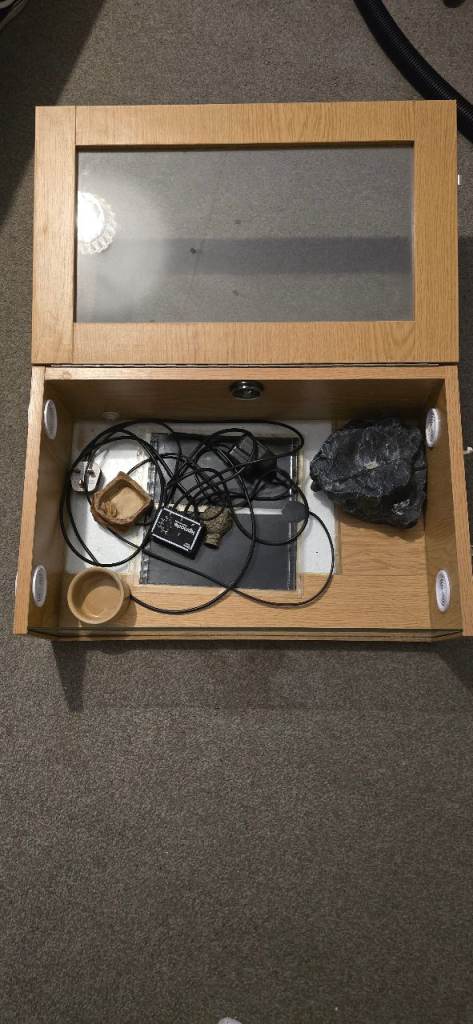 Small boxed Vivarium 