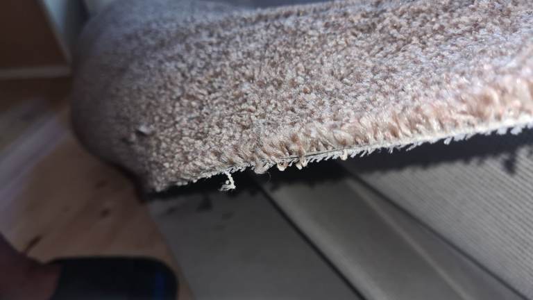 New Carpet 
