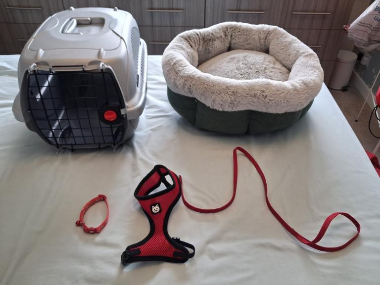 Cat carrier, bed and leash