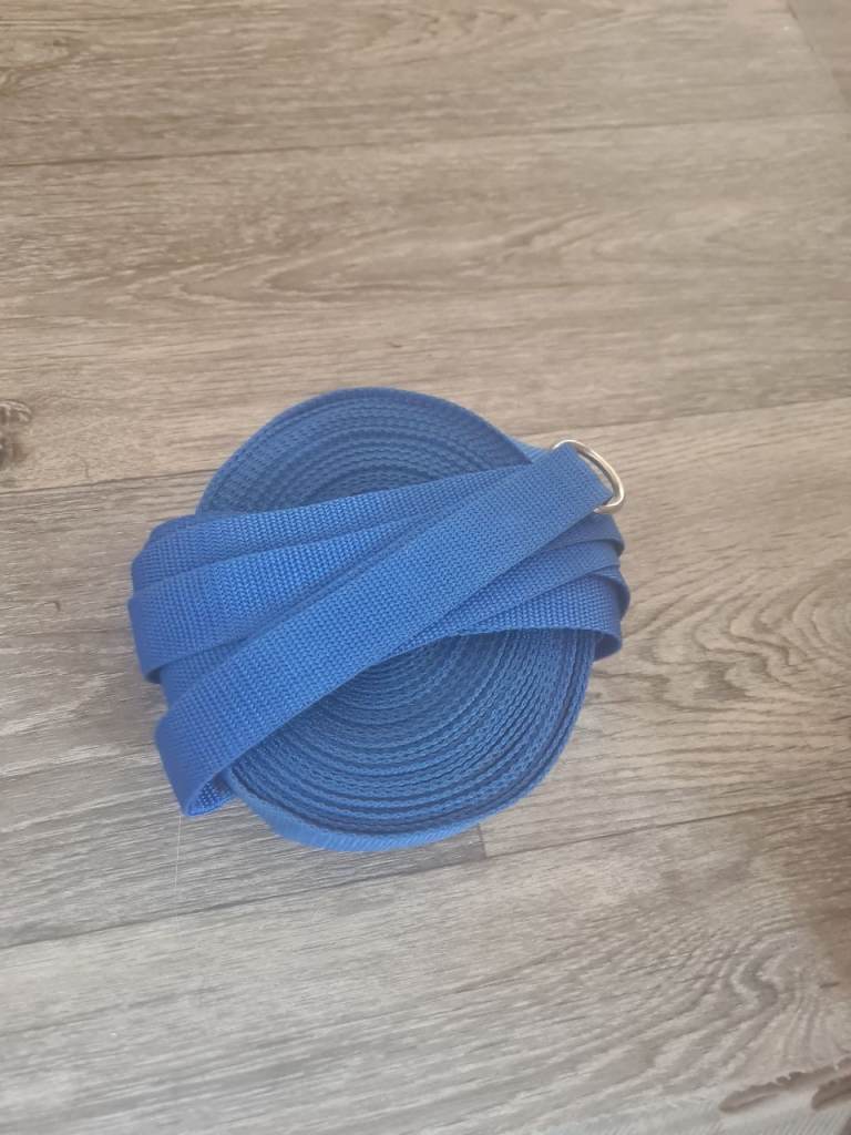 50m dog leash blue 
