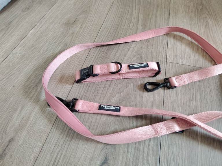 Woofingdales lead and collar 