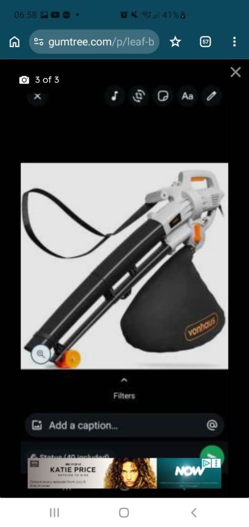 Blower and vacuum 