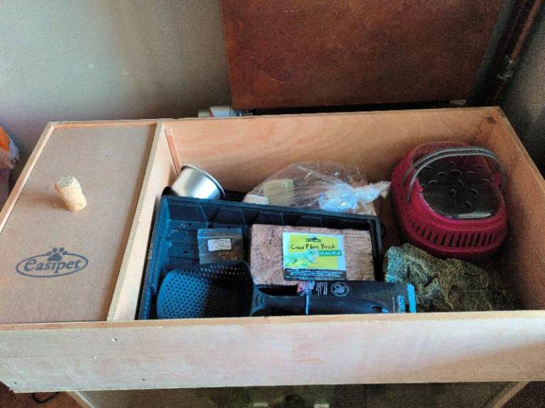 Tortoise table and accessories