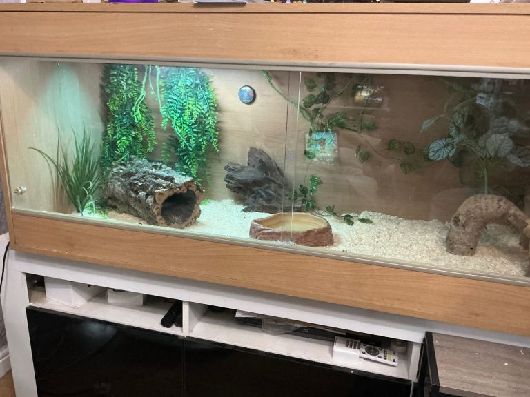 Large Wooden Reptile Vivarium with Glass Sliding Doors