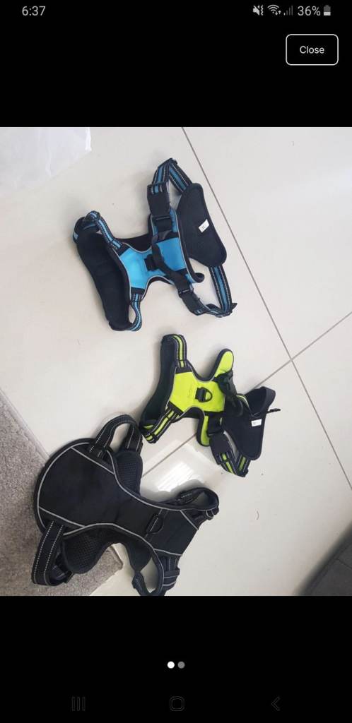 Dog harnesses 