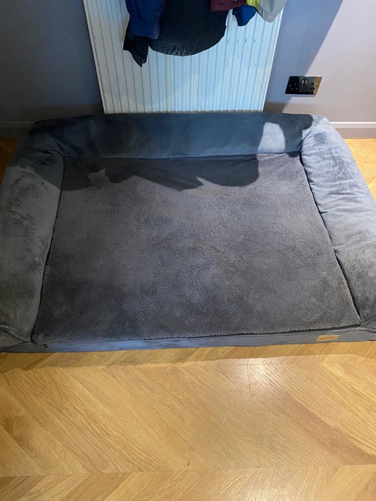 Bingo paw XXXL dog bed