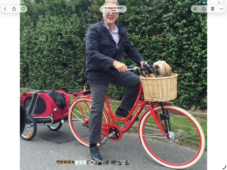 Dog buggy for Bicycle