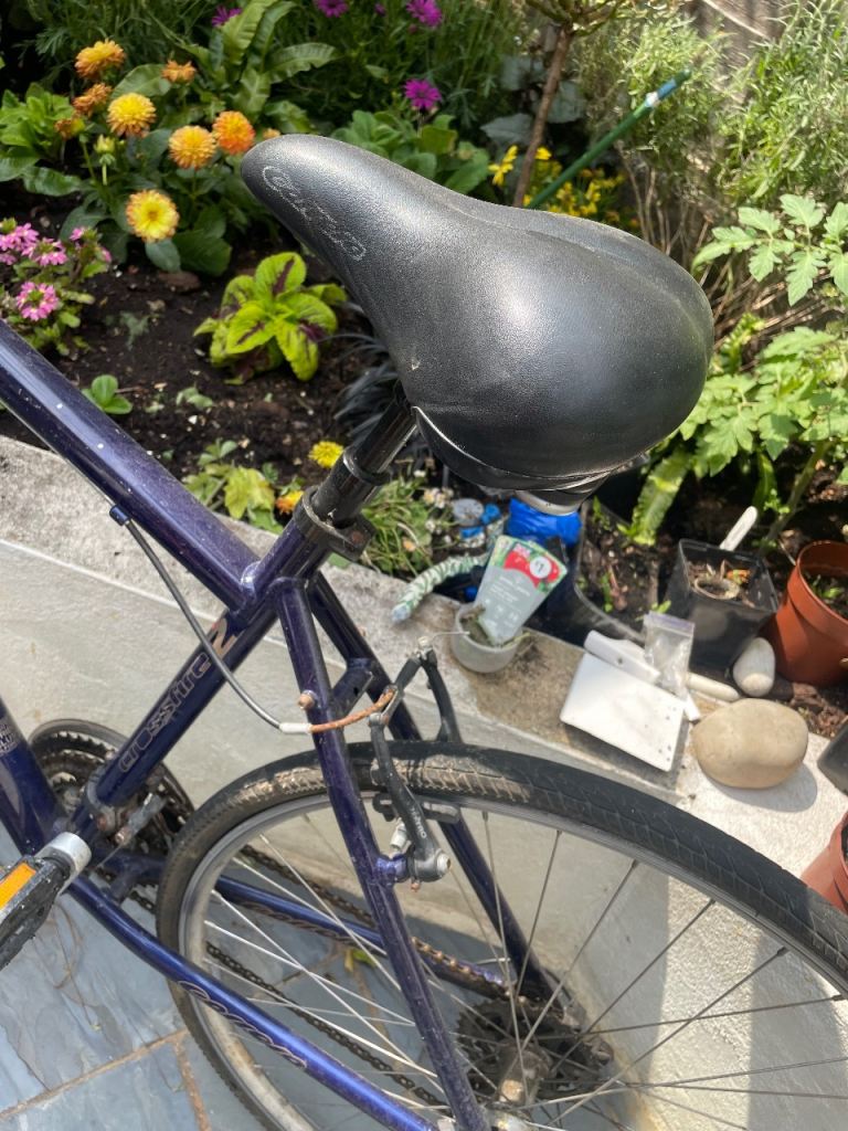 Carrera hybrid Adult Bike 