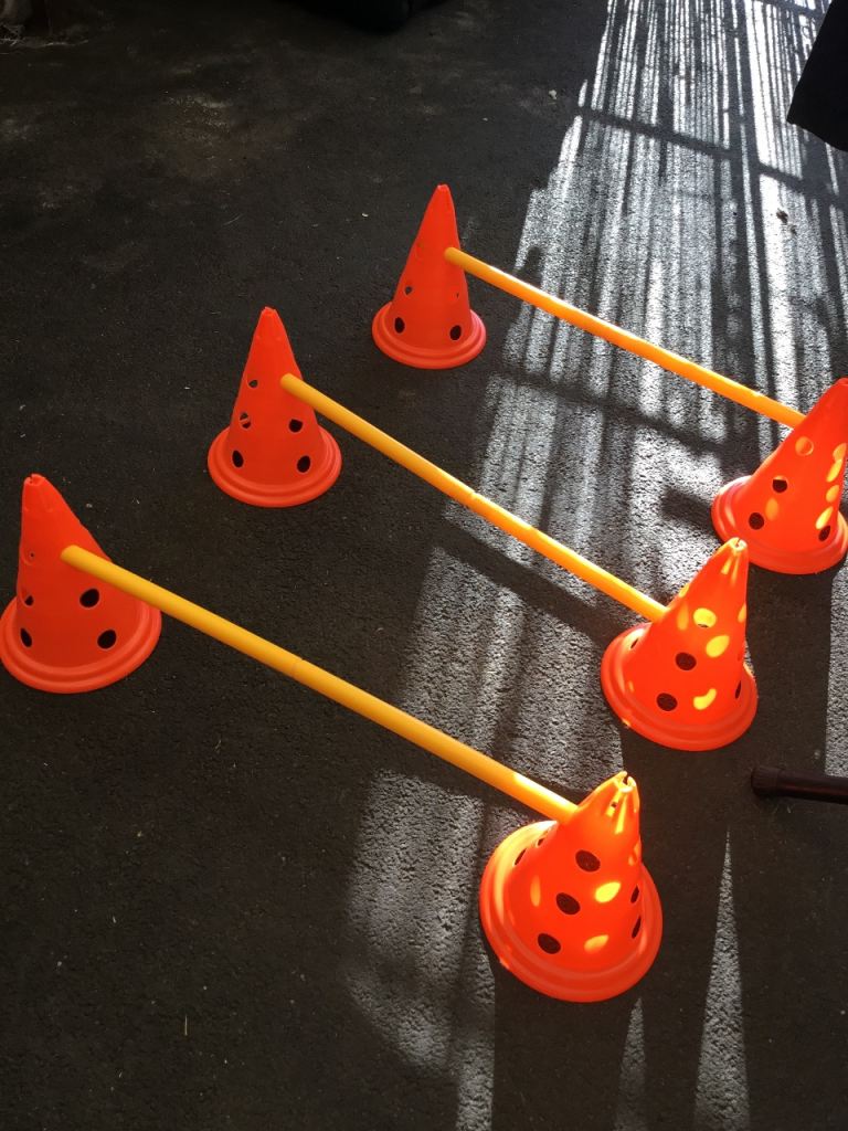 Trixie dog hurdles and bag for storage