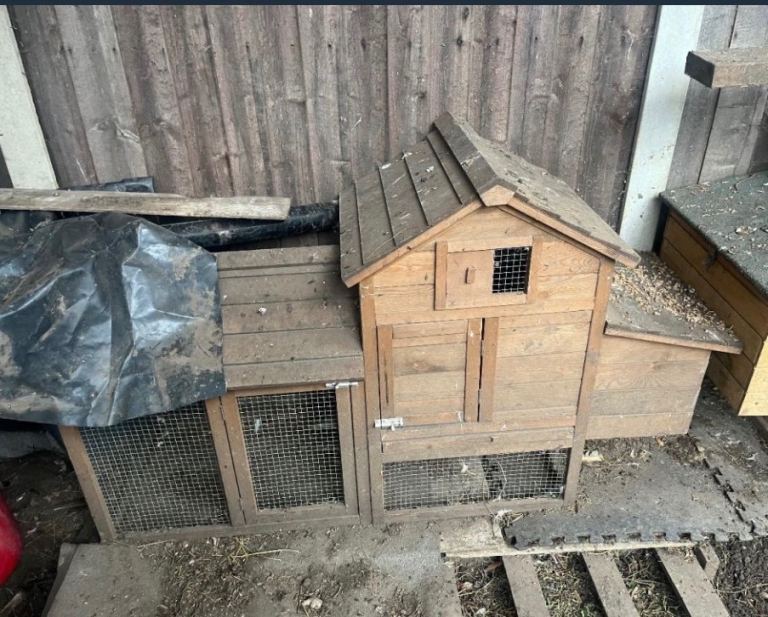 Chicken hutch 