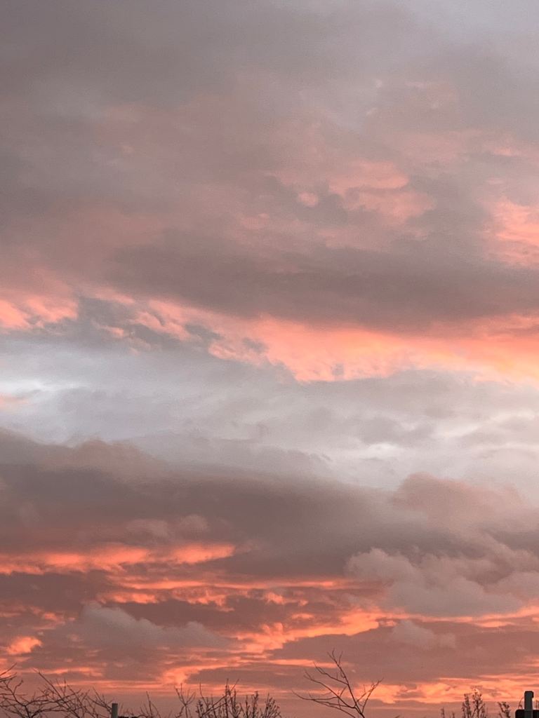 Looking for free decking boards