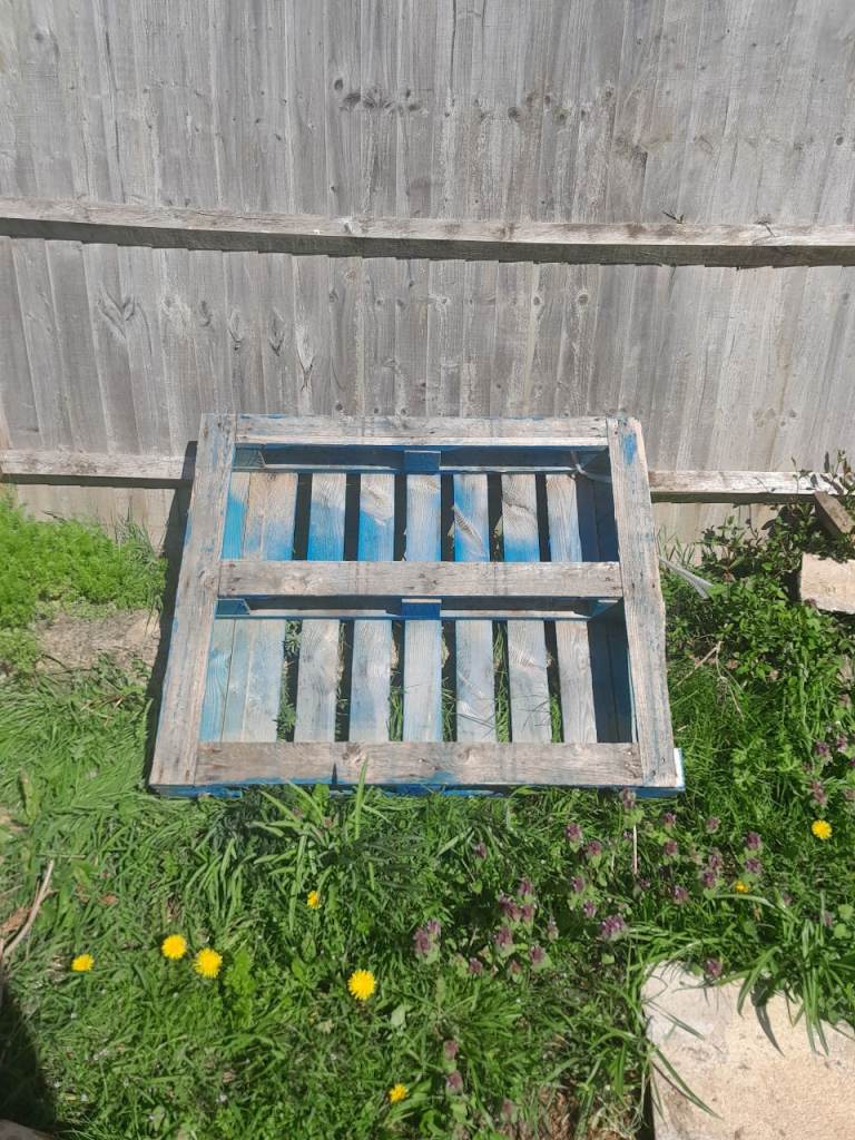 Free Wooden Pallet – Collection Only
