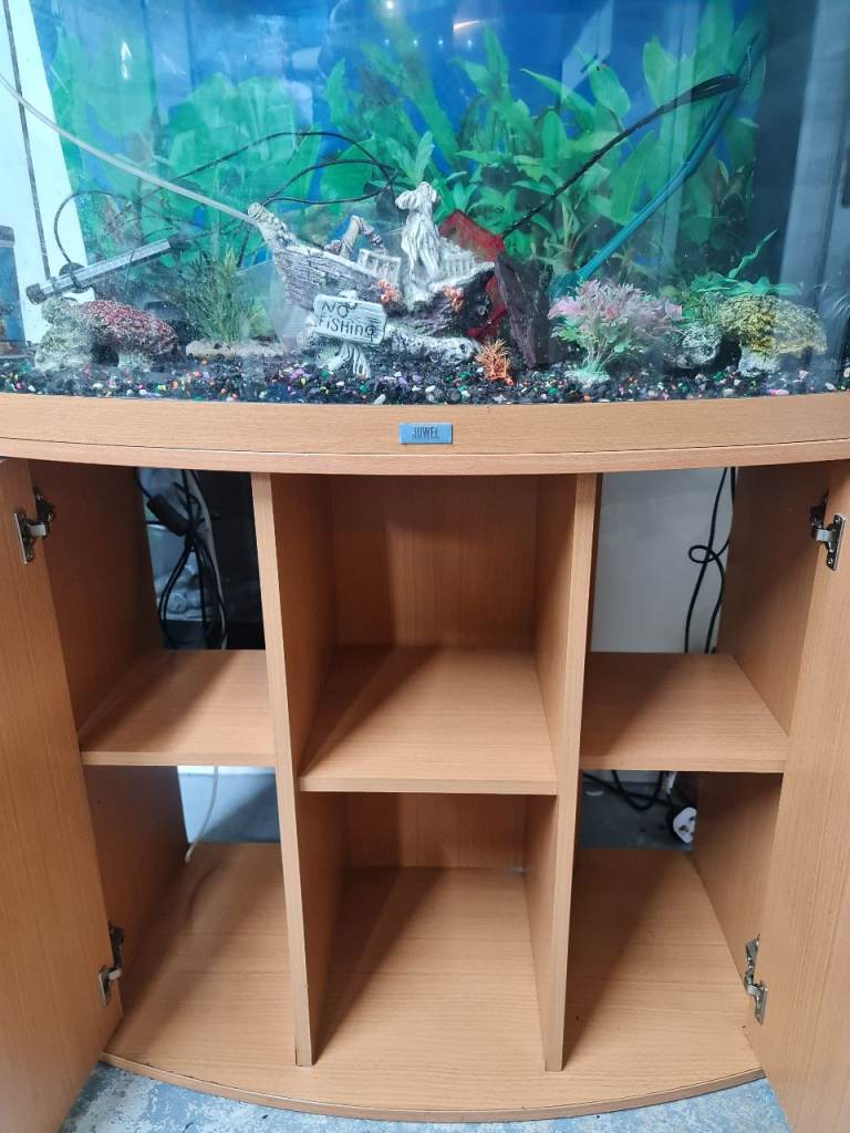 Fish tank complete deliver available, £180