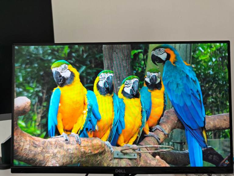 Dell 21.5" Full HD Monitor SE2219H – IPS, Slim Bezel – Great Condition