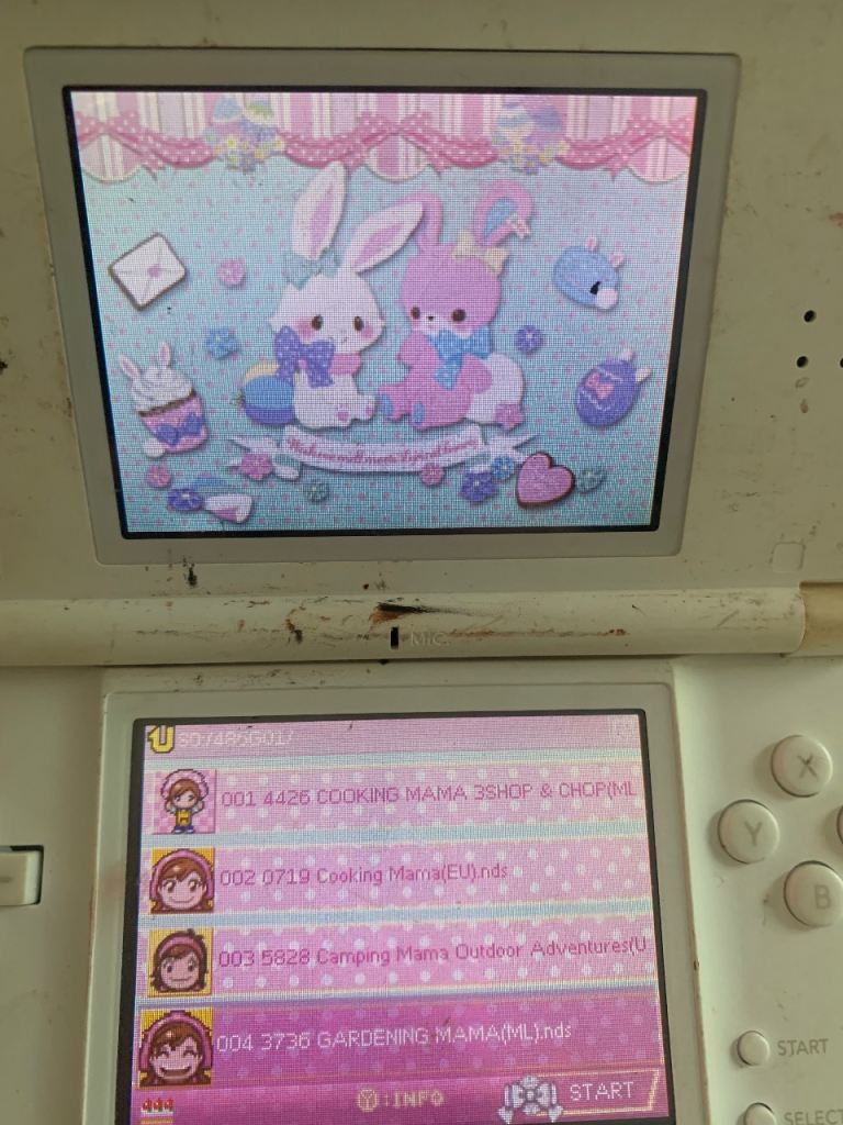 nintendo ds white