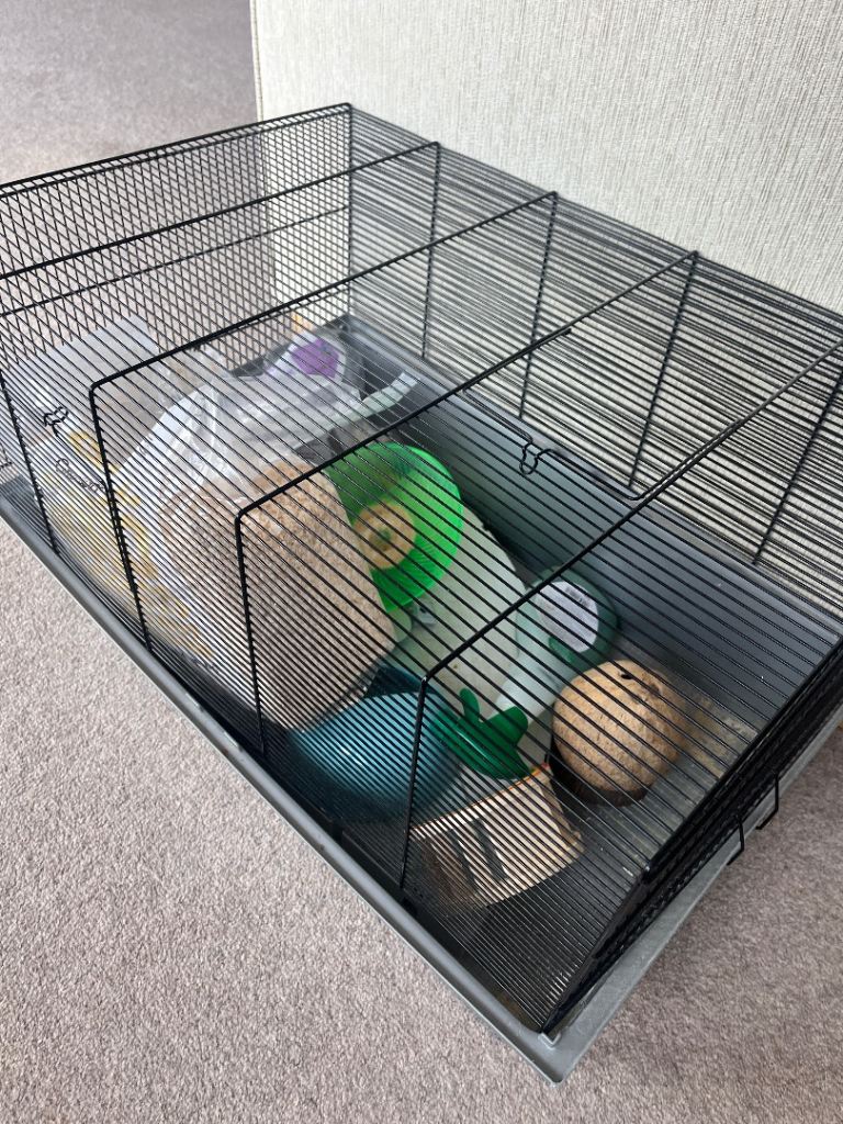 Hamster cage