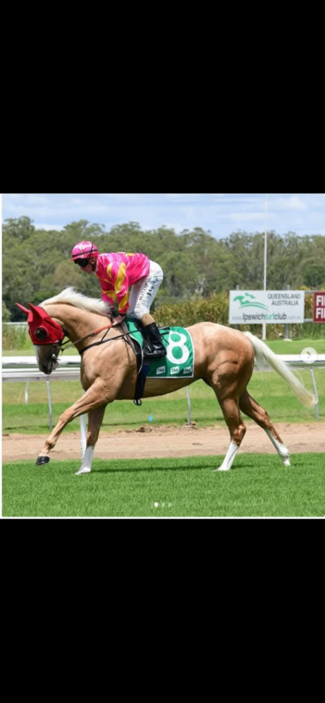 FREE Horse Manure - Great for Gardens! 💩