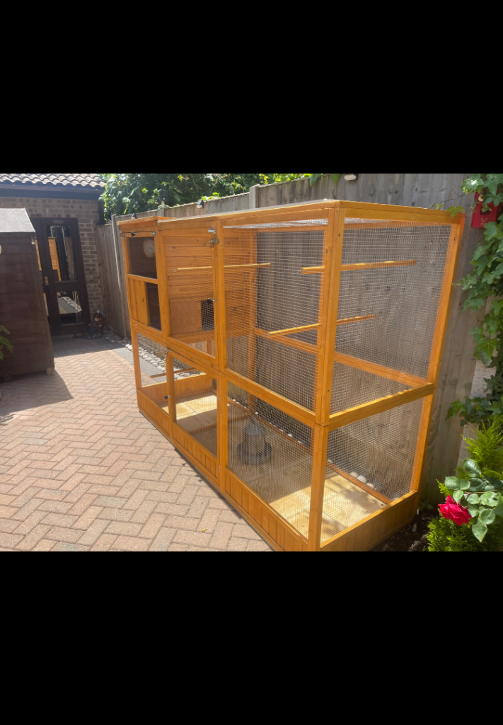 Bird Aviary 