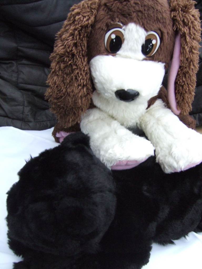 ANIMAGIC "JOEY" THE BARKING /PANTING DOG + Un-branded BLACK KITTEN.