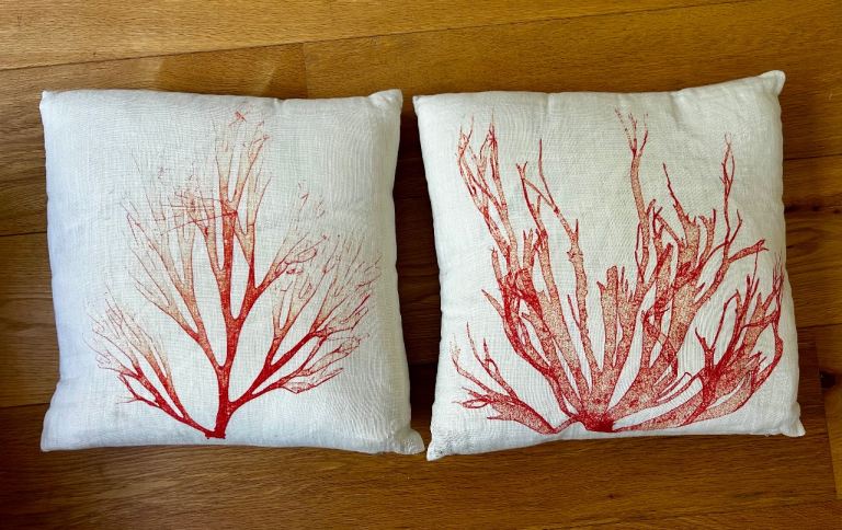 Linen Cushion covers with John Lewis Polyester Cushions 45x45cm – As Good As New