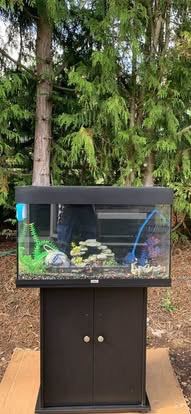 Fish tank and stand 