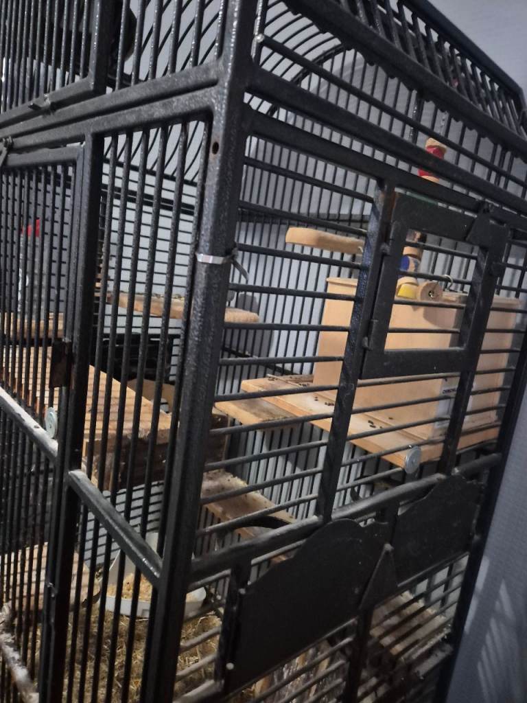 Large cage 