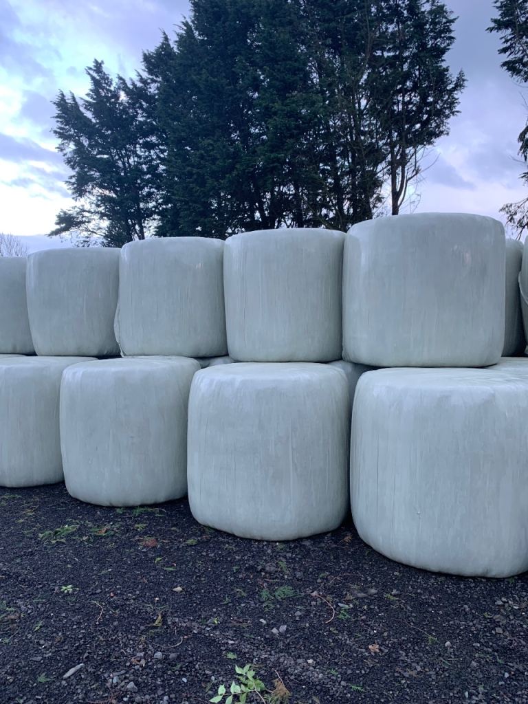 Haylage bales 