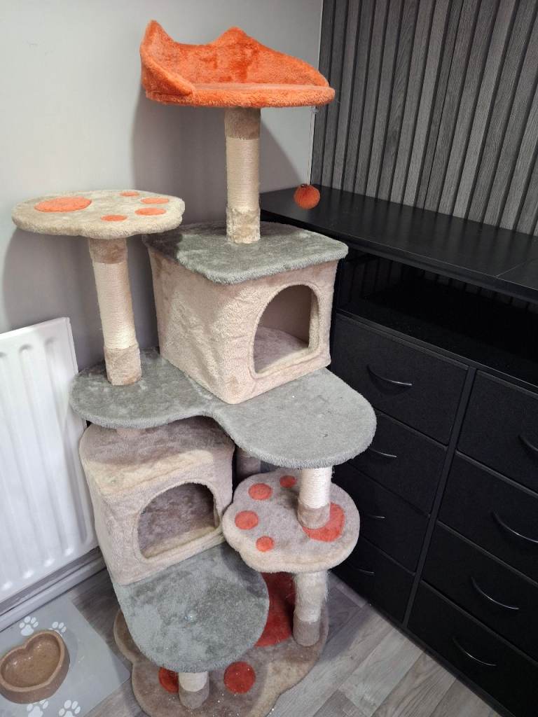 Cat/kitten tree scratch post
