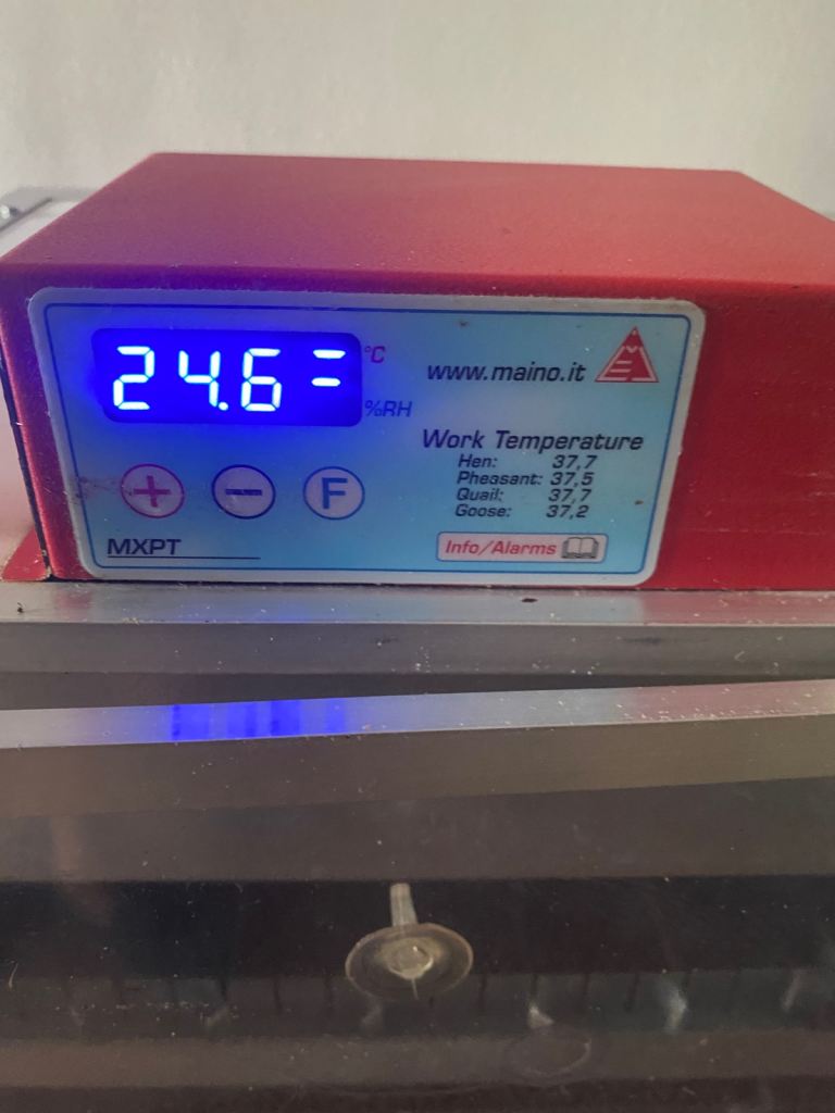 Quick sale automatic incubator for sale 168