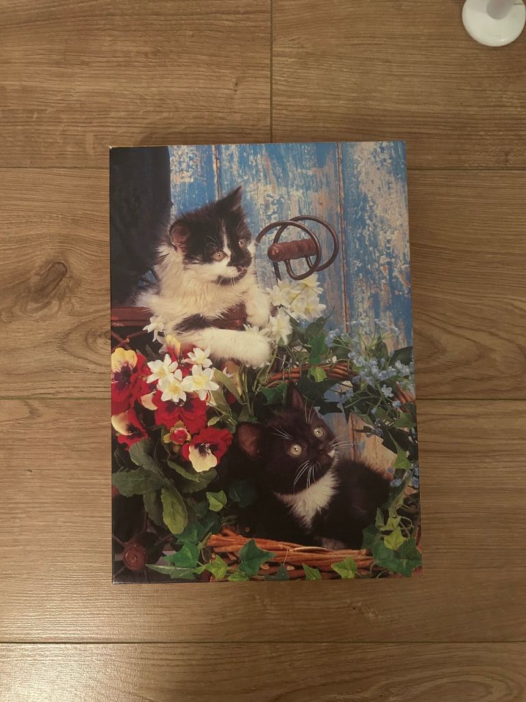NEW 500 Piece Kitten Jigsaw Puzzle - Still Sealed!