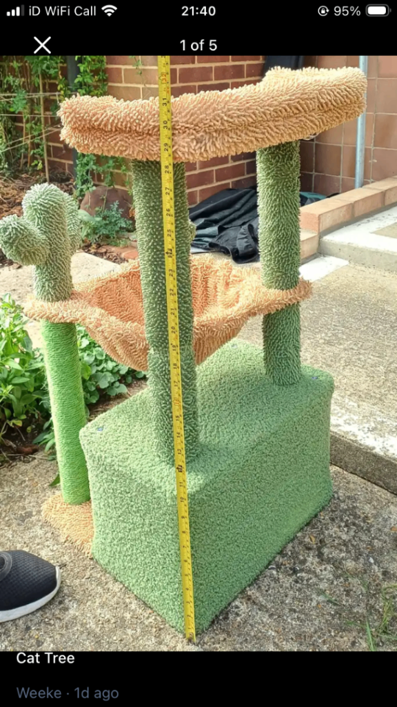 Cat climbing tree