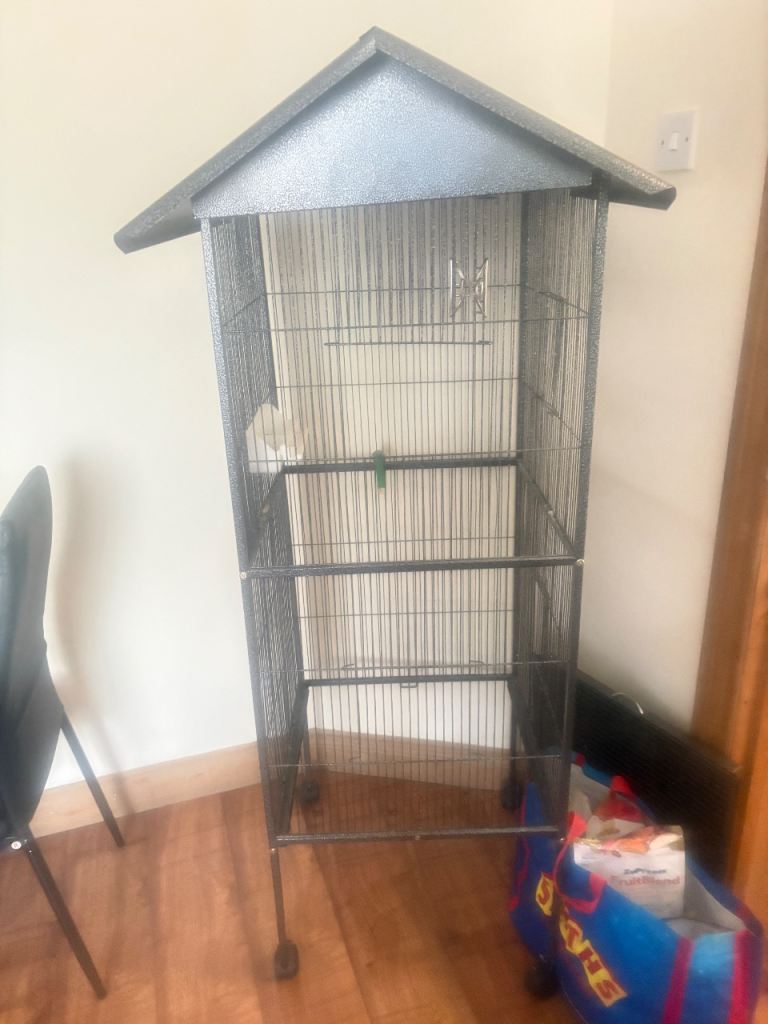 Bird cage 