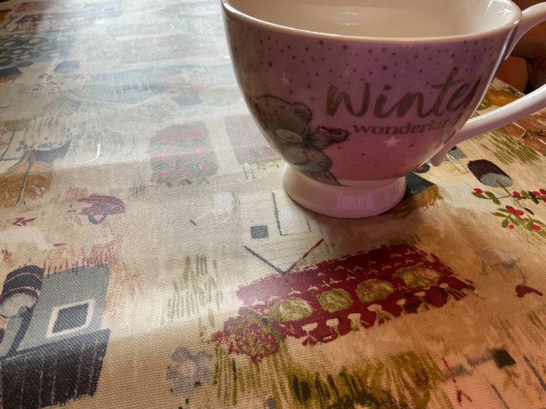 Winter wonderland me to you cup