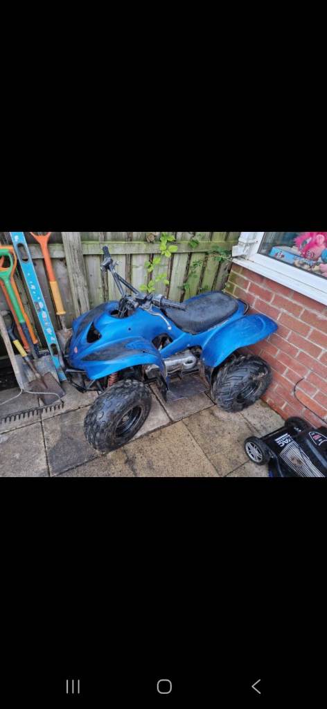 100 cc quad 