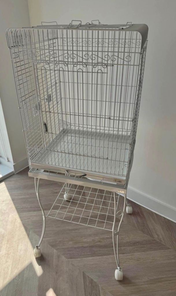 Bird cage 