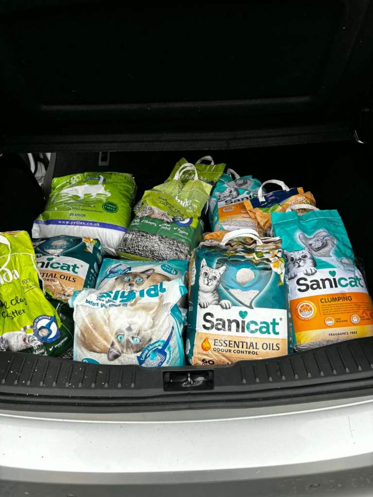 Cat litter bundle 