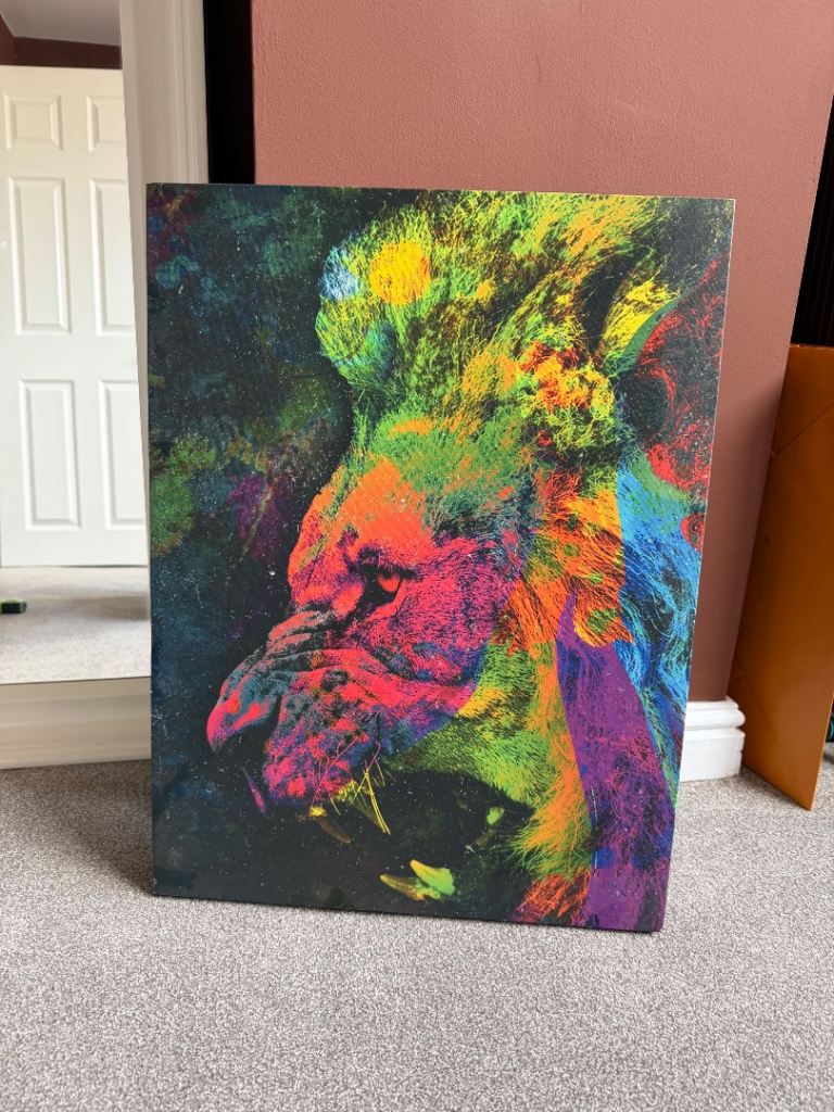 Large Multicoloured Lion Canvas Print – excellent condition 