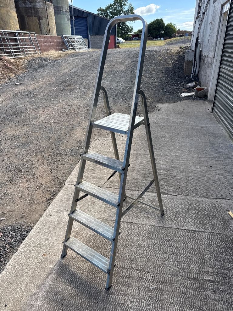 Youngman 5 tread ladder