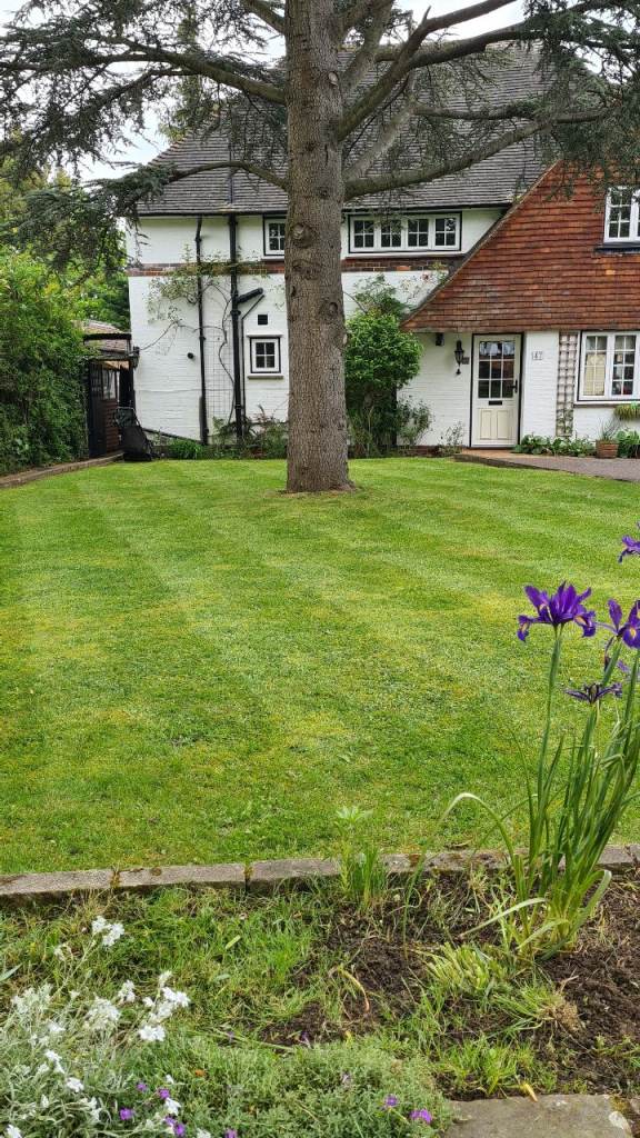 Professional Local Garden Care