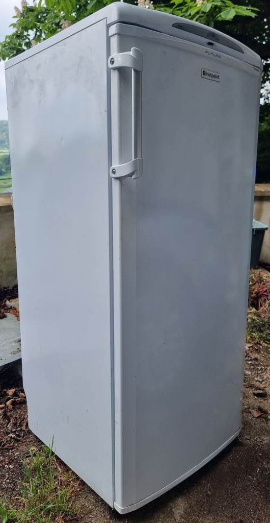 Tall freestanding fridge