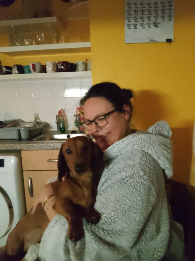 Miniature dachshund ❤️