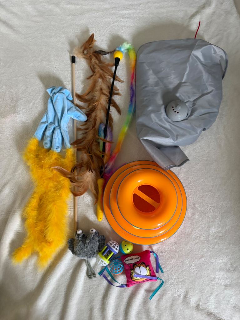 Assorted Cat Toys Bundle - Wand, Ball Track, Crinkle Tunnel, and More