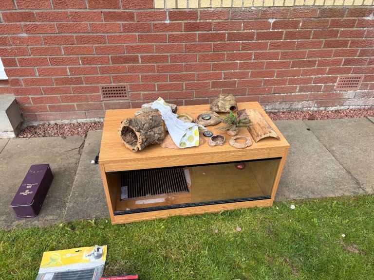Lizard/Gecko Vivarium and Accessories 