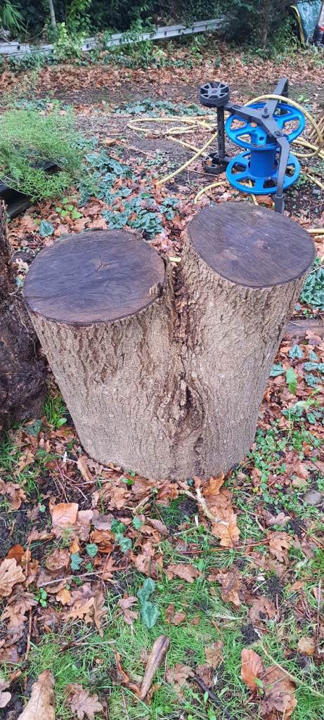 Wood logs for decoration, furniture or fire, etc